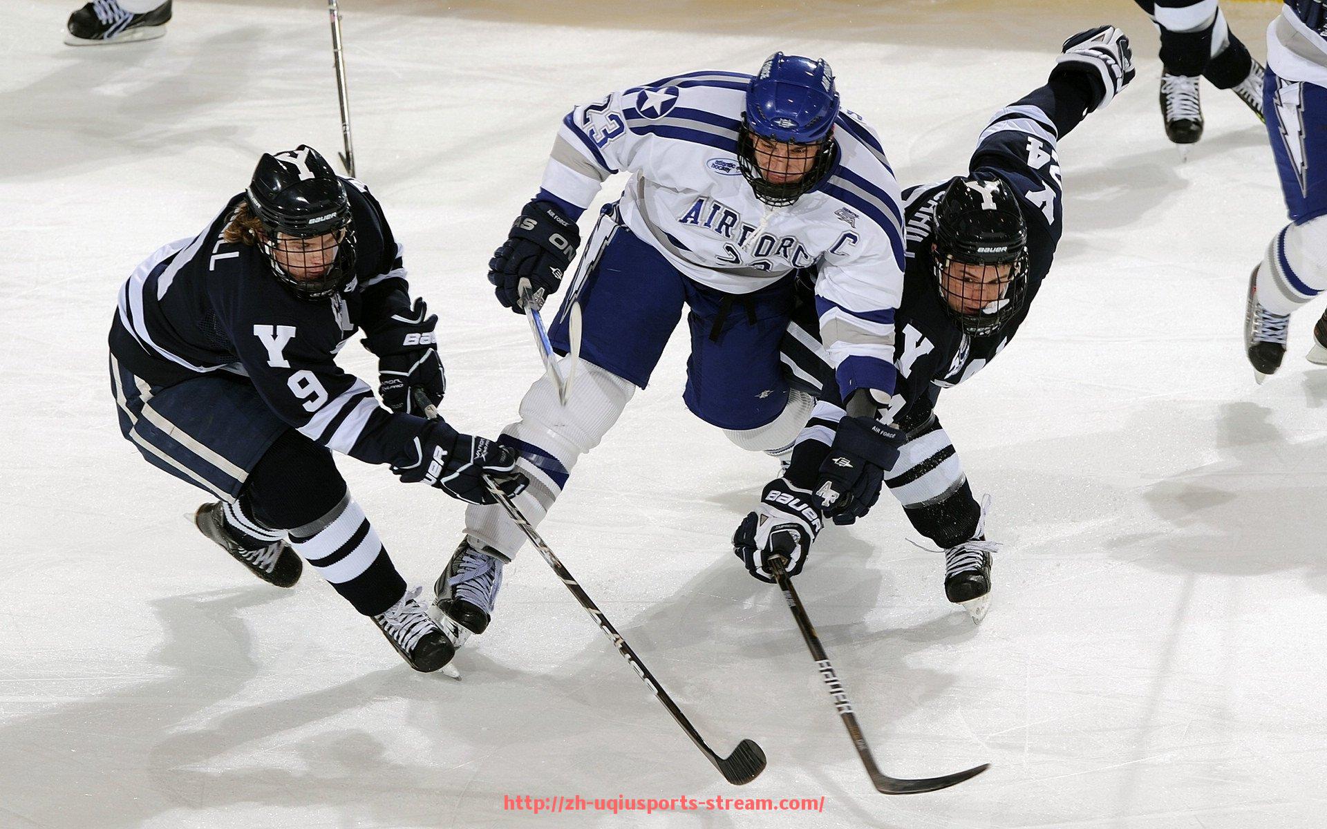 U球体育直播-世俱杯球迷文化探讨专题,全球球迷的独特表达方式