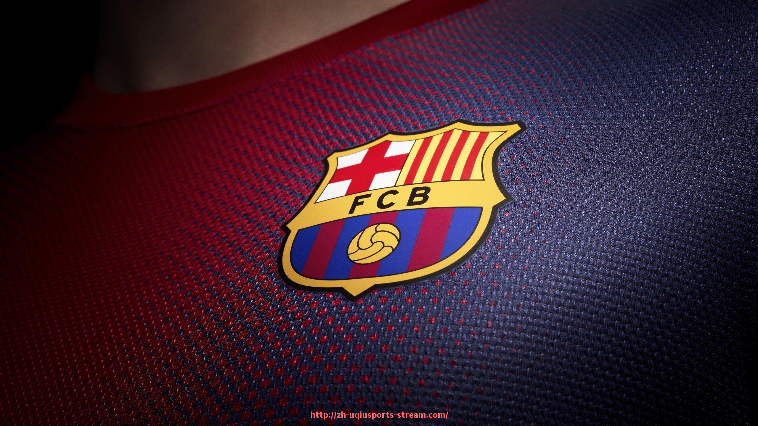 U球体育直播-世俱杯赛事安全风险评估流程设计与实际应用案例