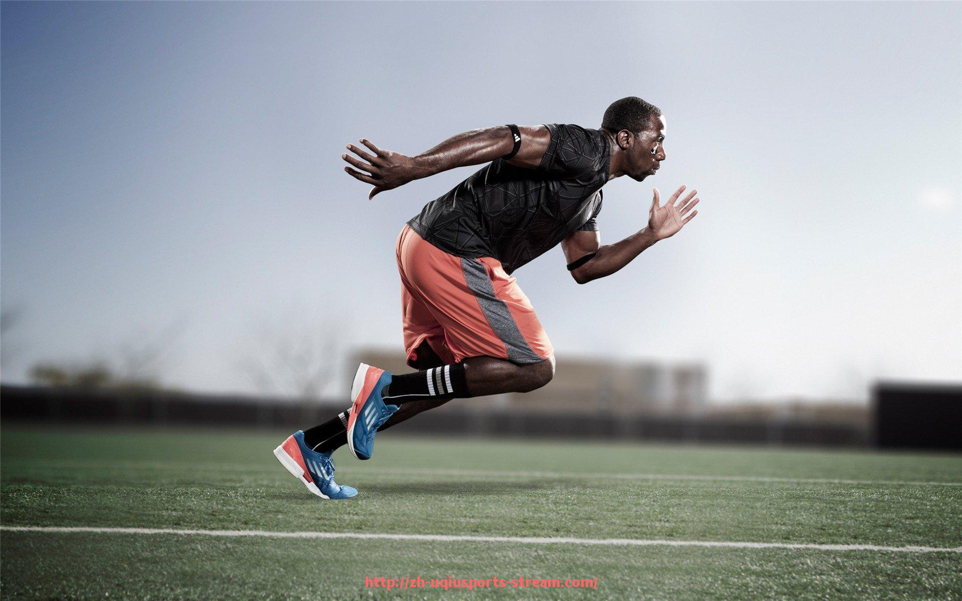 U球体育直播-健身器材行业研究参考资料整理与汇总